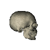 craneg.gif (23069 octets)